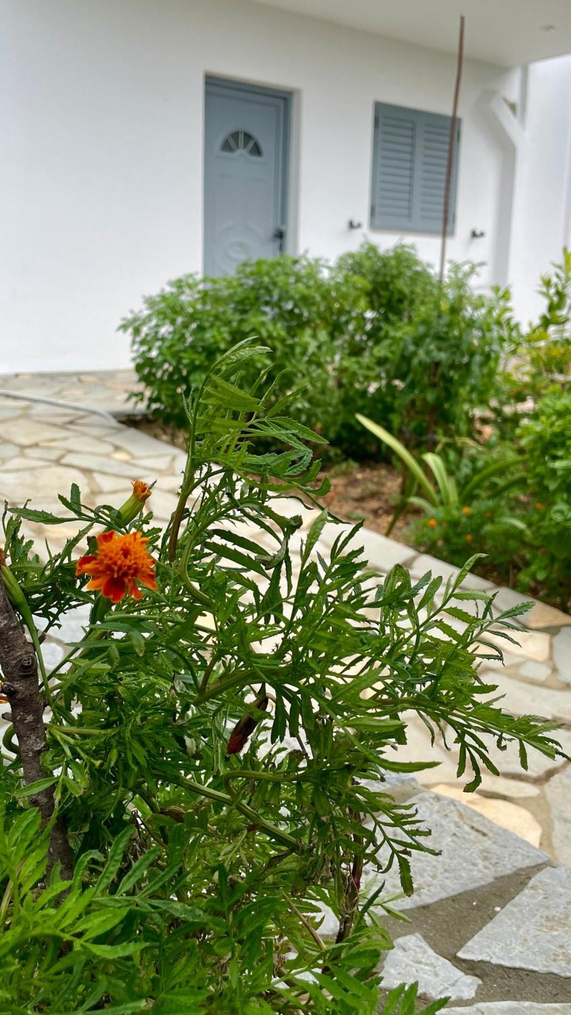 Tasos Rooms Himarë Extérieur photo